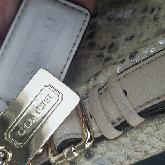 Coach Rare Madison Python Embossed Maggie Shoulder Bag - Picture 13 of 17